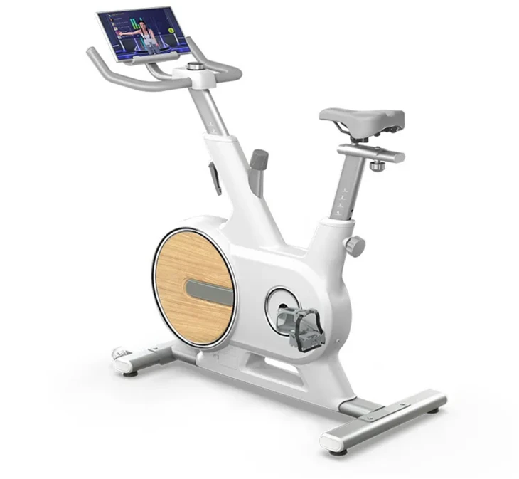 CHOOYOU Wooden Spin Bike suppliers