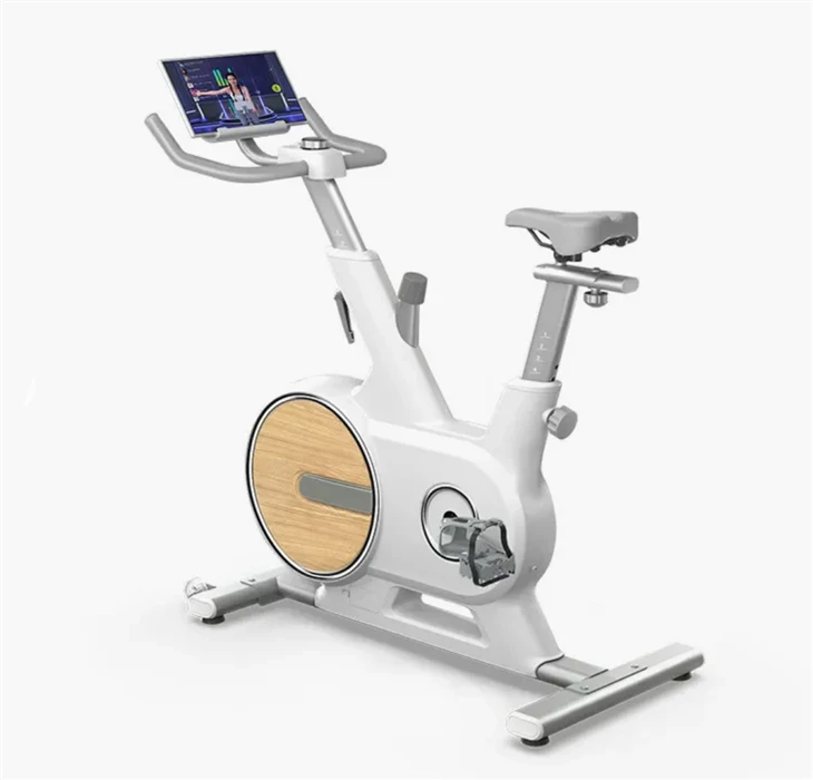 CHOOYOU Wooden Spin Bike
